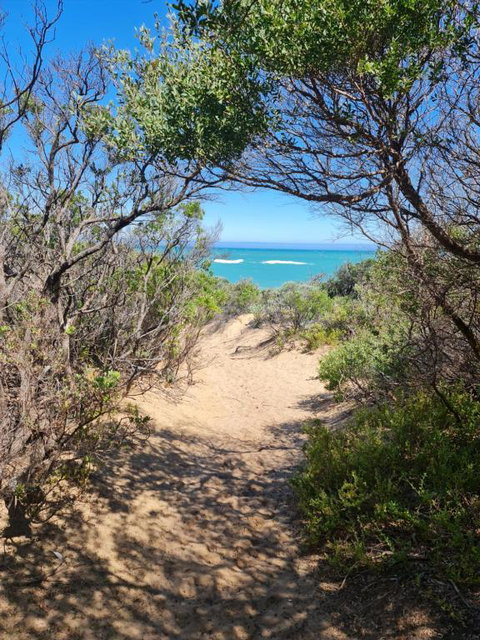 PIECE OF PARADISE, Huge 4 Bedroom Haven - New Castle Holiday 0