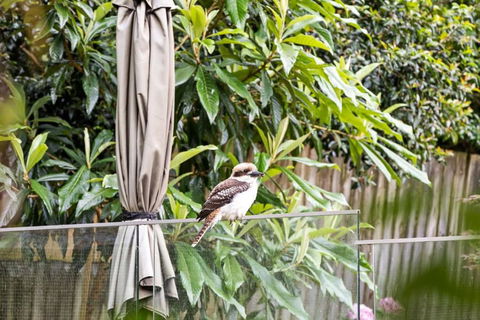 Quaint Queen Room - Central Location At Pymble - Shared Bathroom - New Castle Holiday 1