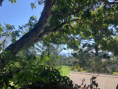 Potters Cottage - New Castle Holiday 3