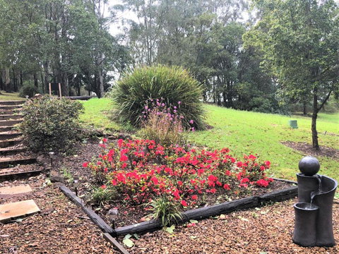 Ravensbourne Escape-Tree Tops - New Castle Holiday 2