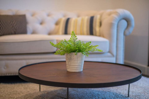 Astrina Deluxe 1 Bedroom - New Castle Holiday 3