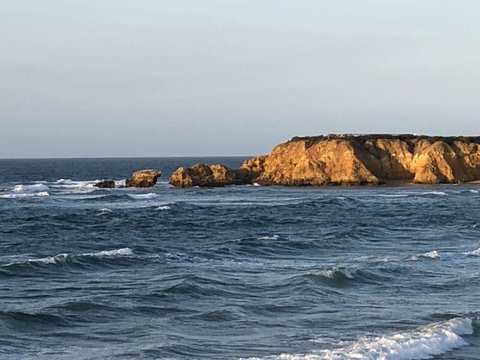 At The Gallery - New Castle Holiday 1