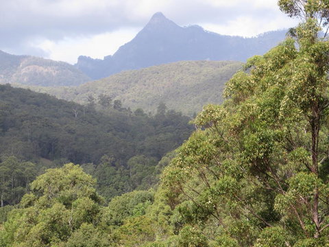 Babbling Brook Retreat - New Castle Holiday 2