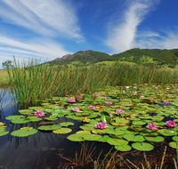 Barrington Hideaway- River Cottages - New Castle Holiday