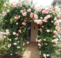 Baudins of Busselton Bed and Breakfast - New Castle Holiday