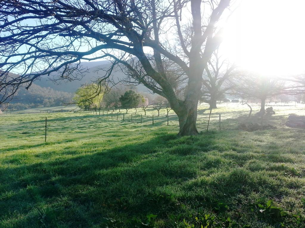 Bethanga VIC New Castle Holiday