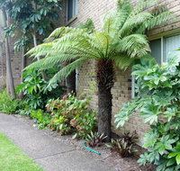 Beachfront Apartments - New Castle Holiday