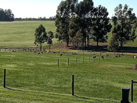 Redtail Ridge Cottages - New Castle Holiday 1