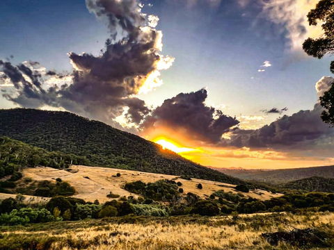 Roam Merrijig - Luxury Stay With Mountain Views - Foothills Of Mt Buller - New Castle Holiday 1
