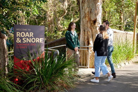 Roar And Snore - New Castle Holiday 1