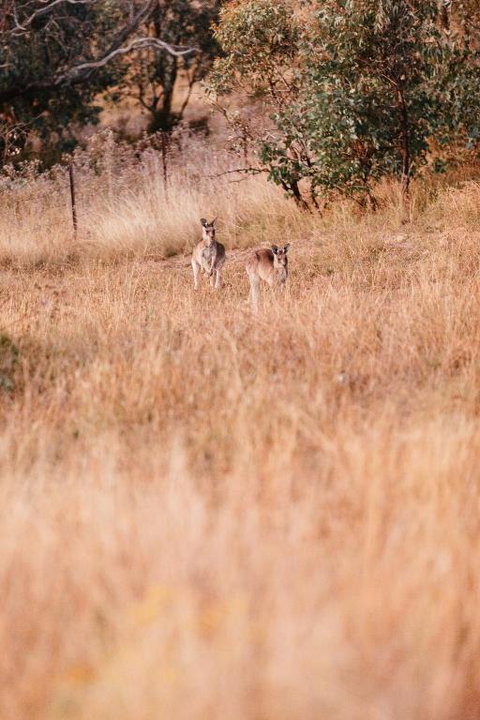 Rose Quartz - 1 Bed With Mountain Views - Kundalini Lodge - New Castle Holiday 2