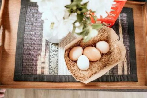 Rosemont By Tiny Away - New Castle Holiday 2