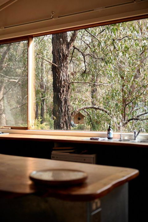 Rustic Treehouse - Aireys Inlet - New Castle Holiday 1