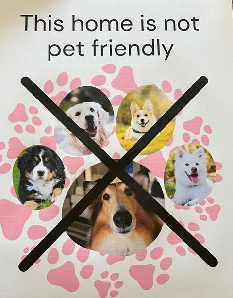 Saltwater Bungalow - WiFi - New Castle Holiday 1