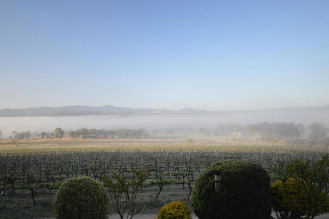Sancerre Estate - New Castle Holiday 3
