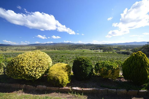 Sancerre Estate - New Castle Holiday 1