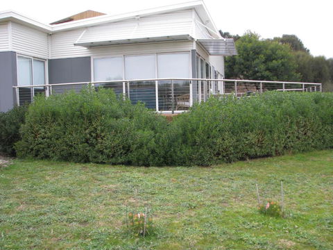 Sandbar Beach House - New Castle Holiday 3