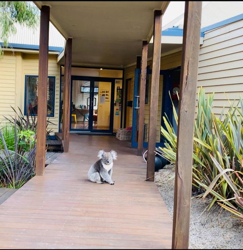 Sandpiper Motel Apollo Bay - New Castle Holiday 3