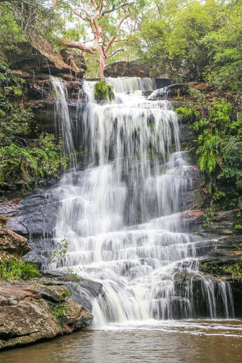 Stunning Peaceful Holiday Haven With Waterfall - New Castle Holiday 1