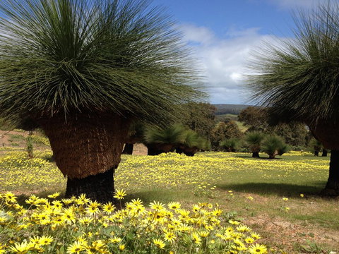 Bed + Bauhaus - New Castle Holiday 1