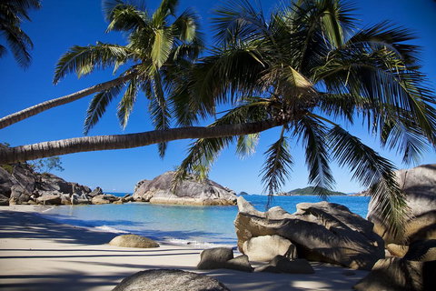 Bedarra Beach House - New Castle Holiday 0