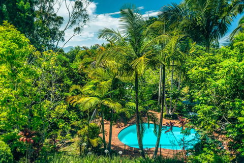 Bella Vista Bellingen - New Castle Holiday 1