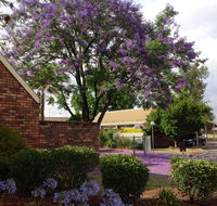 Belvoir Village Motel  Apartments Wodonga - New Castle Holiday