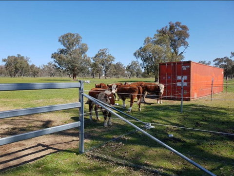Big Tiny Jindera Park - New Castle Holiday 2