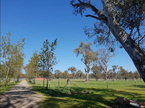 Big Tiny Jindera Park - New Castle Holiday 3