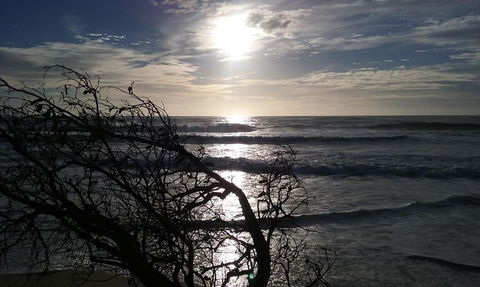 BIG4 Nambucca Beach Holiday Park - New Castle Holiday 3