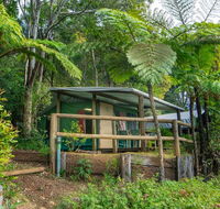 Binna Burra Rainforest Campsite - New Castle Holiday