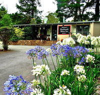 Blackheath Motor Inn - New Castle Holiday