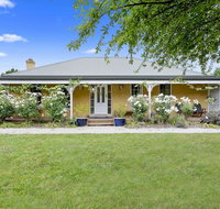 Blue Wren - New Castle Holiday