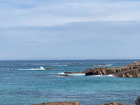 Bluey's Lodge @ Boat Harbour NSW - New Castle Holiday 1