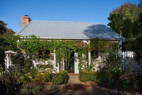 Wisteria Hysteria - New Castle Holiday 0