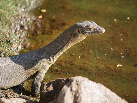 Rumah Surgah On Lake Bennett - New Castle Holiday 2