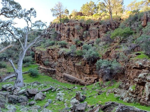 Spear Creek Holiday Park - New Castle Holiday 3