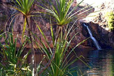 3-Day Kakadu 4WD Camping Safari From Darwin - New Castle Holiday 2