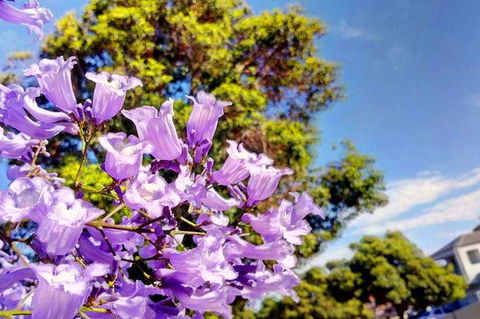 Big Perth (Private) Day Tour - New Castle Holiday 3