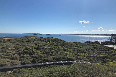 Penguin Island And Fremantle - Canoe, Chocolate & Coffee - New Castle Holiday 0