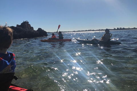 Penguin Island And Fremantle - Canoe, Chocolate & Coffee - New Castle Holiday 1