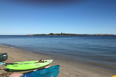 Penguin Island And Fremantle - Canoe, Chocolate & Coffee - New Castle Holiday 2