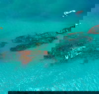 Private Tangalooma Wrecks Tour - New Castle Holiday