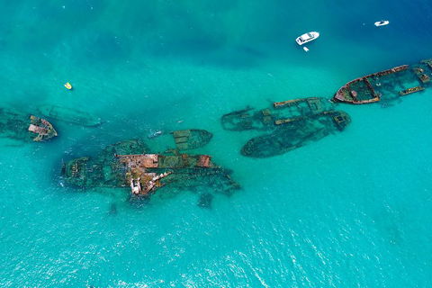 Private Tangalooma Wrecks Tour - New Castle Holiday 0