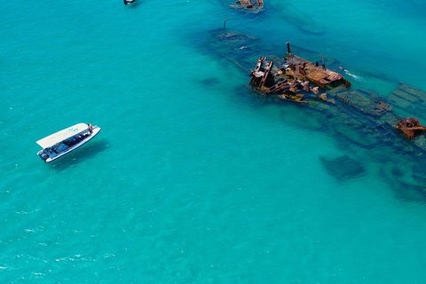 Private Tangalooma Wrecks Tour - New Castle Holiday 4