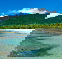 8-Day Cairns Tour Great Barrier Reef Kuranda Daintree Rainforest - New Castle Holiday