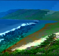 Cairns Reef and Rainforest Combo Daintree Rainforest and the Great Barrier Reef - New Castle Holiday