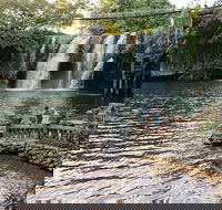 Paronella Park and Millaa Millaa Falls Full-day Tour from Cairns - New Castle Holiday