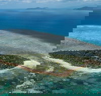 4-Day Cairns with Great Barrier Reef and Daintree Rainforest - New Castle Holiday