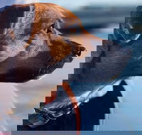 1.5-Hour Boat Rental in Melbourne - New Castle Holiday